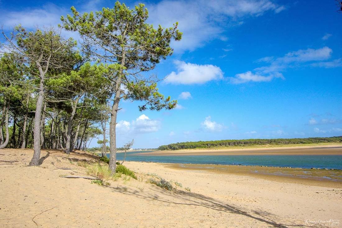 Appartement, Vue Imprenable Sur Port Talmont-Saint-Hilaire Exteriör bild